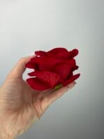 Троянда  бархат т.червона (бордо) - Зображення 2