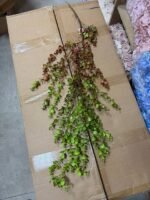 Гілка евкаліпта ампельна зелено-бордова - Зображення 3