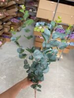 Евкаліпт преміум сизий - Зображення 3