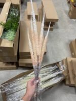 Амарант - Зображення 2