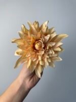 Далія гострі кінчики персик - Зображення 2