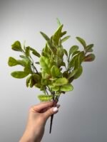 Букет зелень з пластиковими листочками