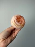 Ранункулус персик - Зображення 2