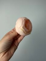 Ранункулус персик - Зображення 3