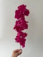 Сакура гілочка малинова