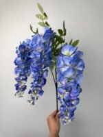 Гліцинія синя