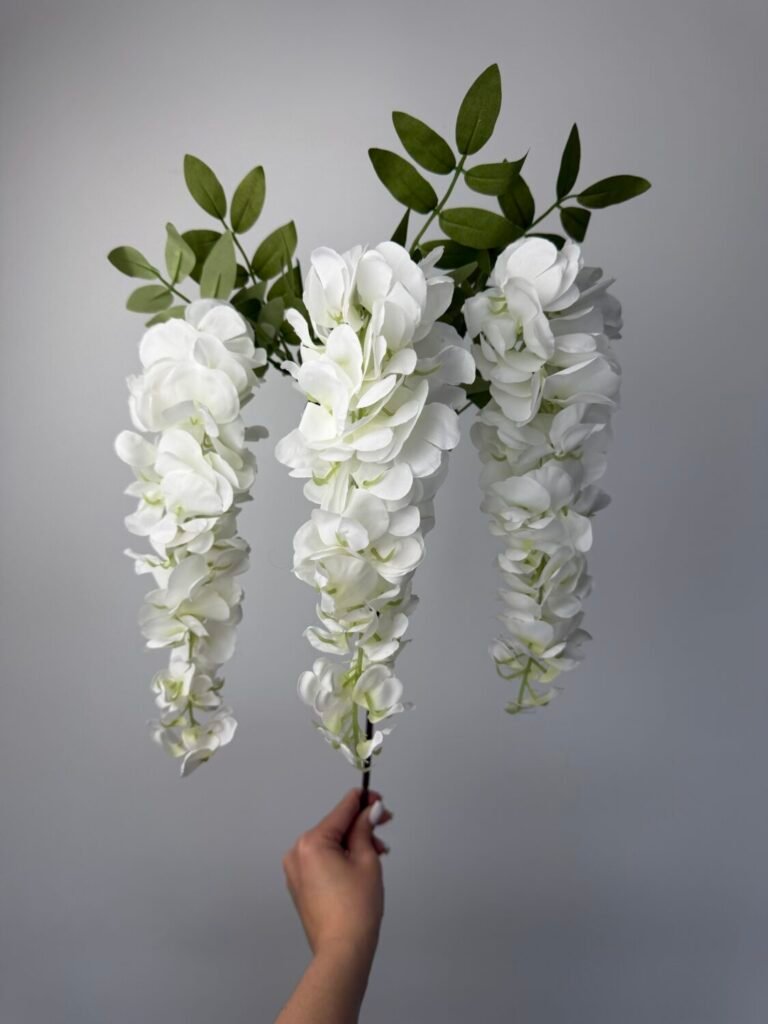 Головна img 0554