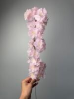 Сакура гілочка світло рожева