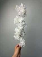 Сакура гілочка біла