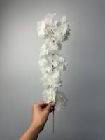 Сакура гілочка айворі