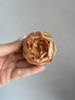 Піон малий темний беж