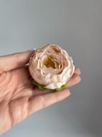 Піон малий беж