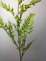 Гілка папороті 100 см суцвіття 60 см - Зображення 3