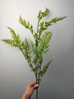 Гілка папороті 100 см суцвіття 60 см