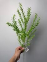 Додаток світло зелений