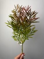 Гілка екзотик зелена з рудими кінчиками - Зображення 3