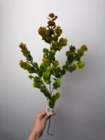 Евкаліпт гілка зелена-руда - Зображення 2