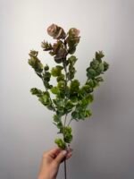 Евкаліпт гілка зелено-фіолетова - Зображення 2