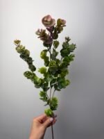 Евкаліпт гілка зелено-фіолетова