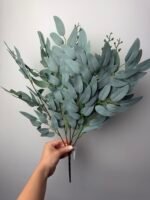 Рускус букет сизий(пепельний)