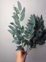 Рускус букет сизий(пепельний) - Зображення 2