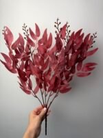 Рускус букет бордо