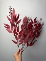 Рускус букет бордо - Зображення 2