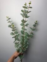 Евкаліпт преміум світло зелений