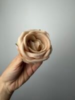 Троянда бархат середня беж