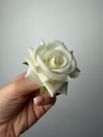 Троянда бархат міні біла