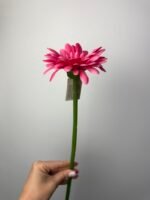 Гербера на гілці малинова - Зображення 2