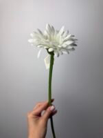 Гербера на гілці біла - Зображення 2