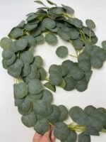 Ліана популюс 2м