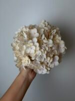 Гортензія преміум беж - Зображення 2