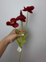 Мак бордовий - Зображення 2