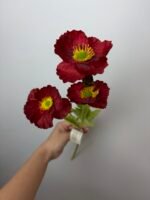 Мак бордовий - Зображення 3