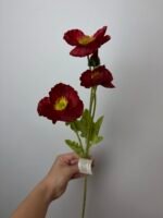 Мак бордовий - Зображення 4