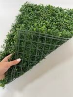 Коврик самшитовий - Зображення 2