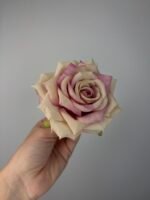 Троянда відкрита хрустка пудра - Зображення 3