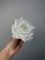 Троянда відкрита хрустка біла - Зображення 3