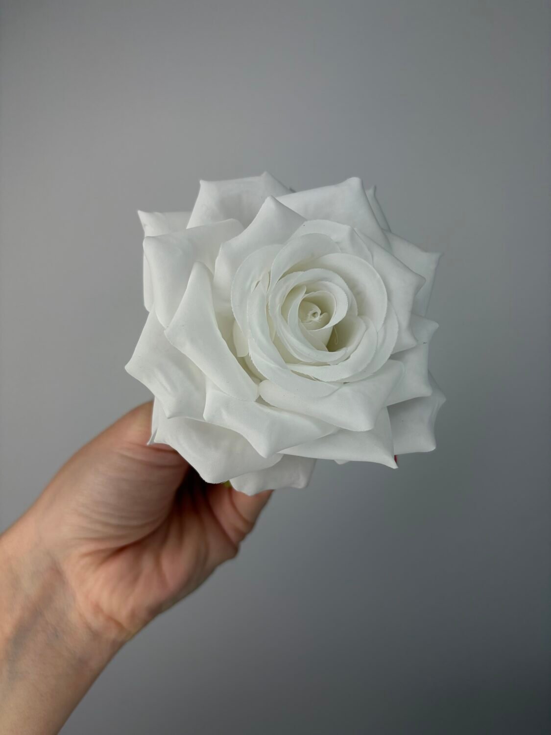 img_1897 Троянда відкрита хрустка біла - Зображення 1