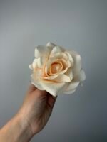 Троянда відкрита персик - Зображення 3