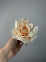 Троянда відкрита персик - Зображення 2