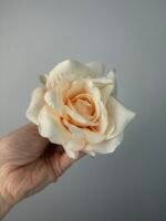 Троянда відкрита персик