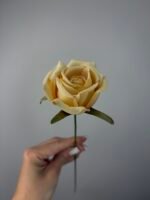 Троянда VIP міні персик