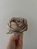 Троянда VIP відкрита т.беж - Зображення 2