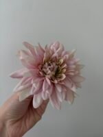 Далія пудра - Зображення 2