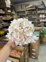 Гортензія преміум беж - Зображення 5