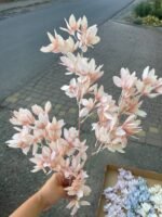 Гілка декоративна з цвітом беж - Зображення 3