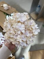 Гортензія преміум беж - Зображення 4